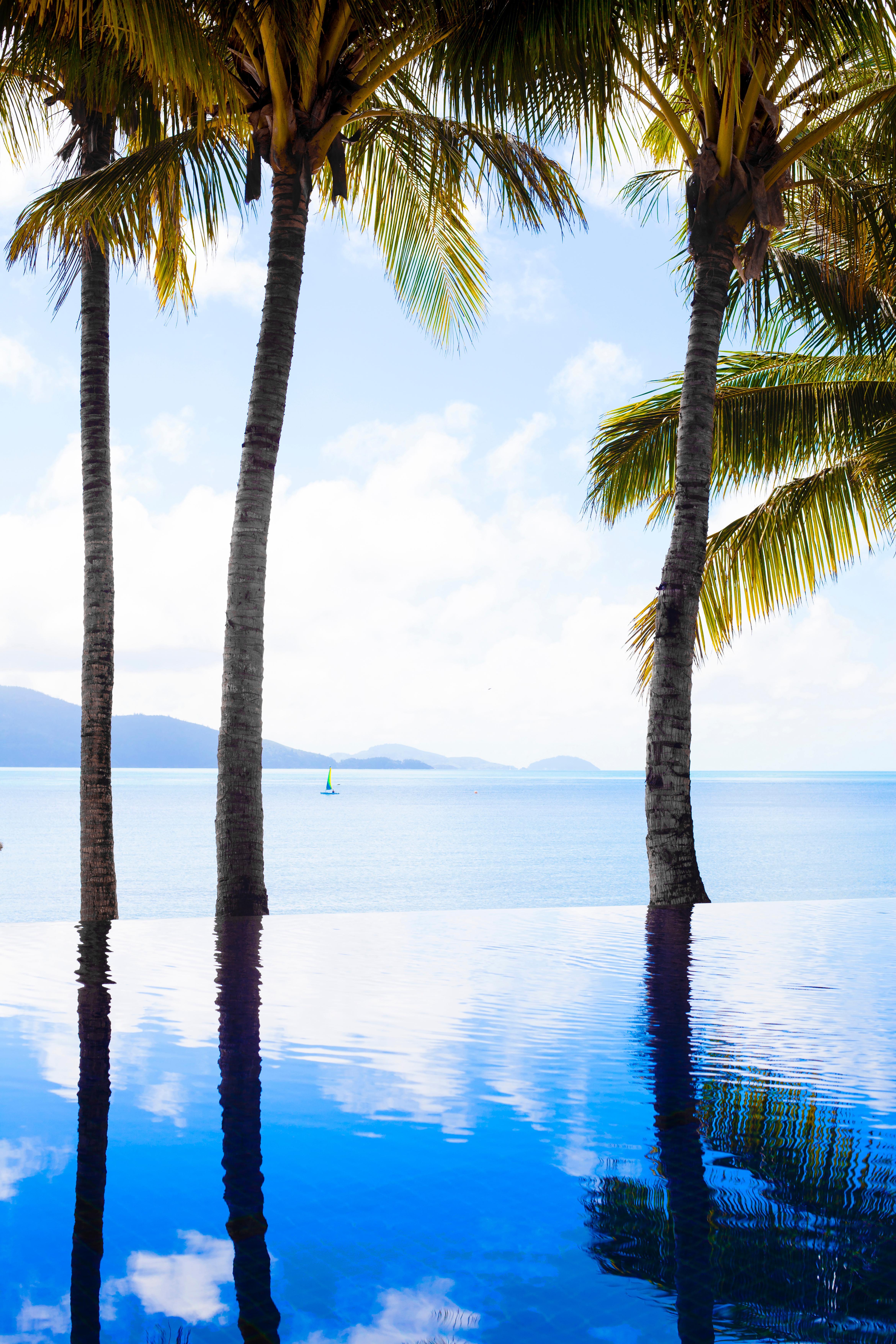 Beach Club Hamilton Island Exterior foto